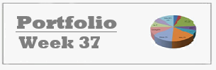 Week 37- Portfolio Model